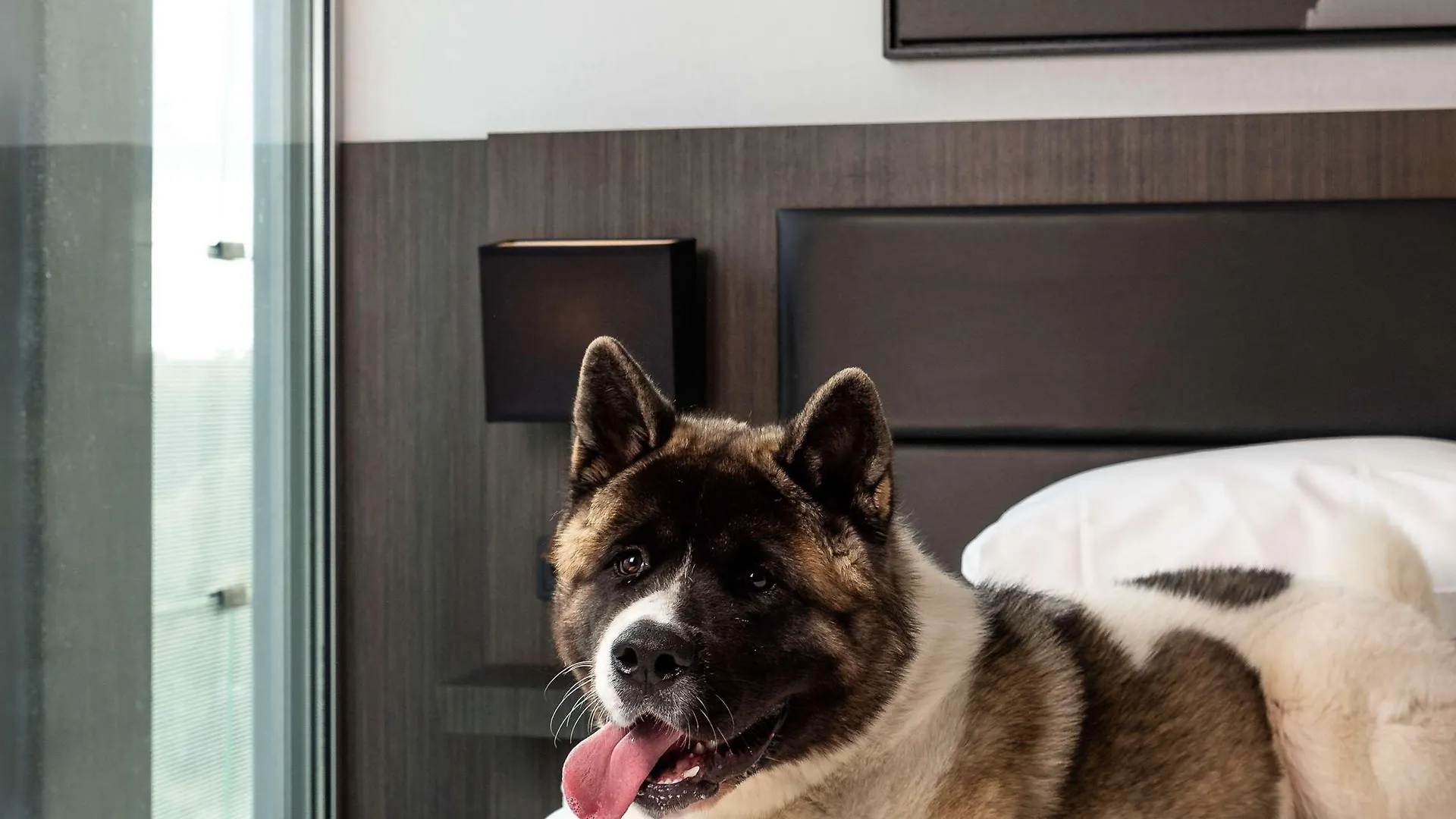 Radisson Hotel And Suites Amsterdam South