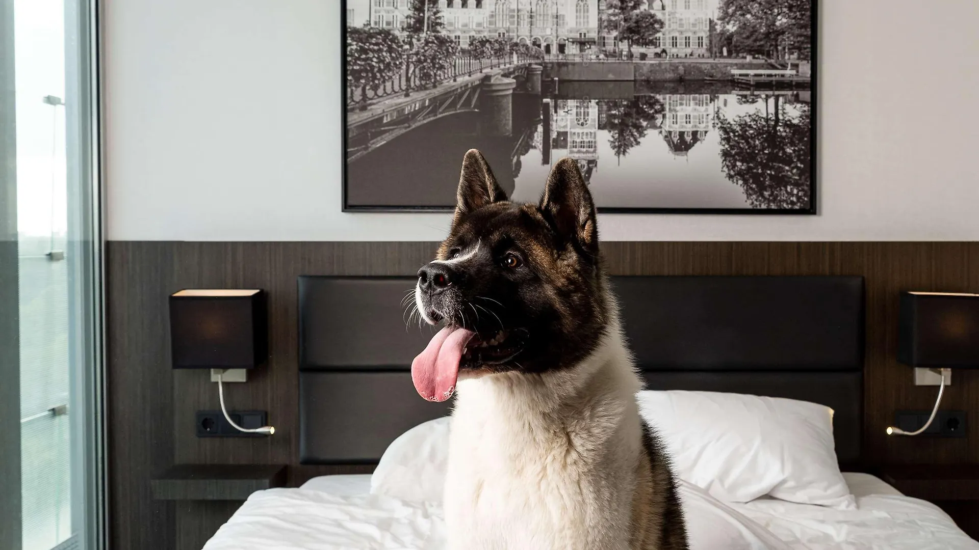Radisson Hotel And Suites Amsterdam South 4*,