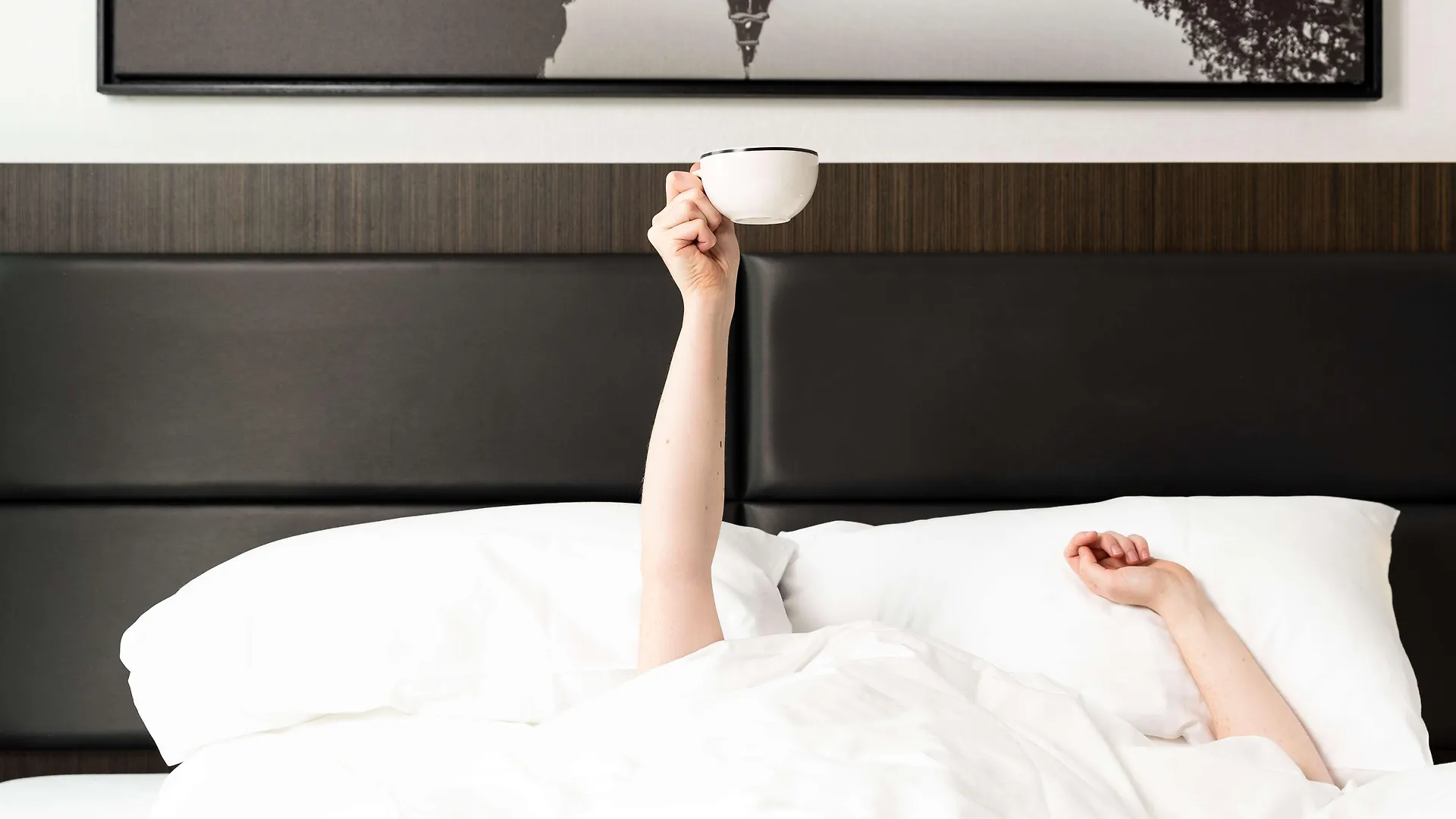 Radisson Hotel And Suites Amsterdam South 4*,  Netherlands